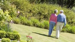Come suddividere le zone del giardino grande con stile?