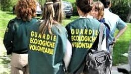 Prima commissione – Consultazioni sui progetti di legge relativi all’attività delle Guardie ecologiche volontarie. Illustrati due Pdl in materia di relazioni istituzionali