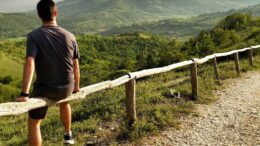 Colli Euganei proclamati Riserva della Biosfera MAB UNESCO, Presidente Ciambetti “Un traguardo importante, opportunità di rilancio e valorizzazione”