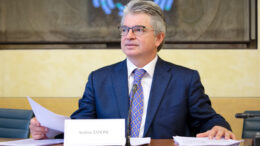 Zanoni (Pd): “Caccia Tortora selvatica, Tar respinge ricorso Regione: nuova figuraccia della Giunta, ostinata nel difendere le pratiche illegali”