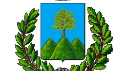 Altri contenuti – dati ulteriori