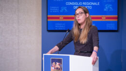 Camani (Pd): “Autonomia, Zaia si confronti con l’assemblea legislativa: il Veneto non è una sua proprietà personale”