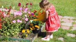 Semi di fiori e ortaggi – quali scegliere?