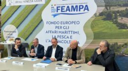 Pesca, Zannier “Collaborazione è forza per soluzioni su alto Adriatico”