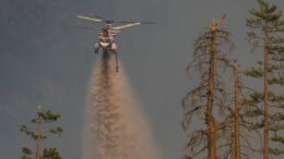 Toscana, accordo da 1,8 milioni per la lotta agli incendi