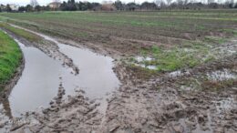 A RISCHIO GLI AGRICOLTORI DI SANT’ERASMO. SPOPOLAMENTO, CAMBIAMENTI CLIMATICI, MA ANCHE NEGLIGENZA DELLE ISTITUZIONI.