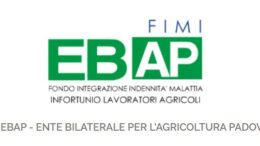 Fimi Ebap cerca rappresentante dei Lavoratori per la sicurezza territoriale (RLST)