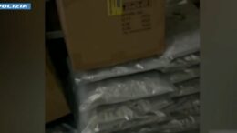 Torino, maxi sequestro stupefacenti. Oltre 110 kg di marijuana e hashish