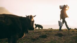 AL VIA LE ISCRIZIONI PER LA NUOVA MASTERCLASS  “I CUSTODI DELLA MONTAGNA”