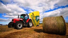 OGM: STORICO FLOP DELLE SEMINE IN EUROPA (-18%) E NEL MONDO