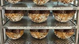 Pasqua: vegana e senza glutine, in scelta colomba sempre più attenzione a salute