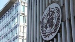 Allarme tubercolosi, in Europa torna a fare paura. Il report: “Bambini più a rischio”