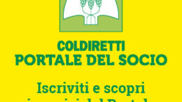 I POSSIBILI SVILUPPI DELLE TEA NEI VARI SETTORI PRODUTTIVI
