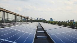 Energia rinnovabile per le piccole imprese: quali sono i costi e i vantaggi degli investimenti sostenibili