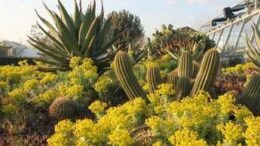 L’ Università di Roma Tor Vergata apre orto botanico a scuole e cittadini per esperienza sostenibile