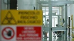 Aviaria, l’allarme: “C’è rischio che diventi pandemia come il Covid”