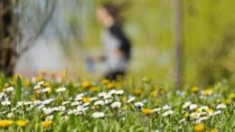 Da allergie a sonno cattivo, ecco gli ‘acciacchi’ di primavera e come affrontarli