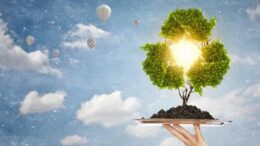 Sostenibilità e territori, Asvis: “Agenda 2030 riferimento strategico”