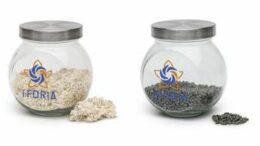 Sostenibilità, aggiudicata gara a Capannori per impianto riciclo prodotti assorbenti