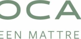 Avocado Green Mattress Unveils 2024 Impact Report, Redefining Responsible Business with a Bold Commitment to Sustainability