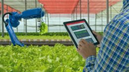 IL LAVORO IN AGRICOLTURA E L’A.I. (Intelligenza artificiale)