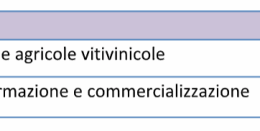OCM VINO – MIS. INVESTIMENTI