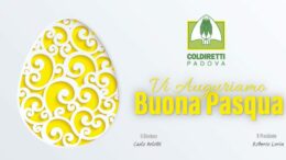 Pasqua 2025, l’augurio e il messaggio di don Giorgio Bozza