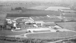 Agroalimentare, pisellini primavera Findus compiono 60 anni