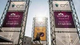 Vinitaly, Ismea: “Vino ruolo di punta sui mercati, in 10 anni +50% valore export”
