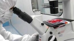Tumori, in 5 anni di Car-T curati 1.800 italiani: “Il viaggio continua destinazione futuro”