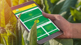 QUADERNO DI CAMPAGNA DIGITALE OBBLIGATORIO DAL 2026