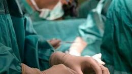 Ricerca, al Bambino Gesù fegati tenuti in vita per studi su malattie metaboliche
