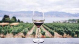 Dazi, tra timori e nuove strategie, dal mondo del vino le testimonianze dei Consorzi da Nord a Sud
