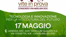 Vite in prova: 17 maggio a Castelbaldo tecnologia e innovazione per la viticoltura del futuro