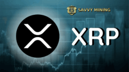 XRP Price Prediction: Target Price : How to Earn a Stable Income Every Day with SAVVY MINING.