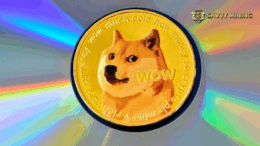 DOGE Price Prediction: How to Earn a Stable Income Every Day with SAVVY MINING.