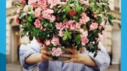 L’Azalea della ricerca Airc torna a sbocciare per la salute delle donne