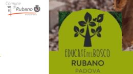 La pedagogia del bosco: pratiche quotidiane di educazione all’aria aperta con i bambini