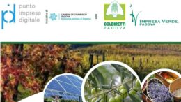Visita Studio a Nova Gorica – Esplorando l’Innovazione Agricola verso i mercati di confine