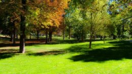 “Un nuovo parco nel tuo Comune”: annunciati i vincitori del bando