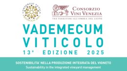Prosecco Doc Vademecum viticolo 2025