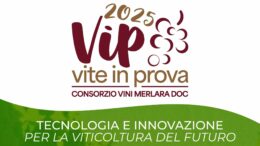 Vite in prova, la viticoltura guarda al futuro: sabato 17 maggio Castelbaldo