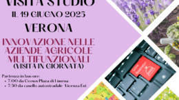 Visite studio aziende innovative provincia di Verona 17 e 19 giugno