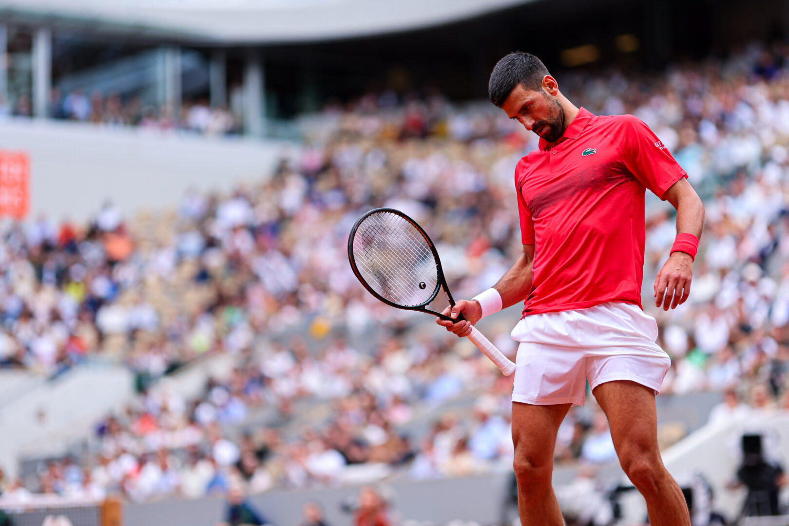 Zverev-Djokovic ai quarti del Roland Garros. Errani-Paolini ai quarti Zverev-Djokovic ai quarti del Roland Garros. Errani-Paolini ai quarti