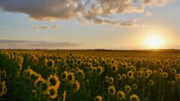 Pianificazione territoriale: Urbana e Arre firmano gli accordi per i rispettivi PAT