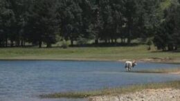 Turismo: filiere dop e natura, al via ventesima edizione ‘Fattorie aperte in Sila’
