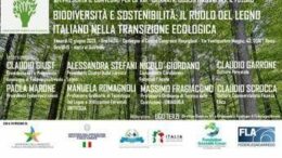 Il ruolo legno italiano in transizione ecologica, tavola rotonda con Afi e Assolegno