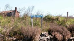 Nella laguna di Venezia ‘ostriarium’ con 300 gusci di ostriche