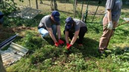 Volontariato aziendale: un ponte tra impresa e comunità, per costruire valore condiviso