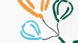 Idee in festa – Cooperative sociali Nuova Idea e Idee Verdi